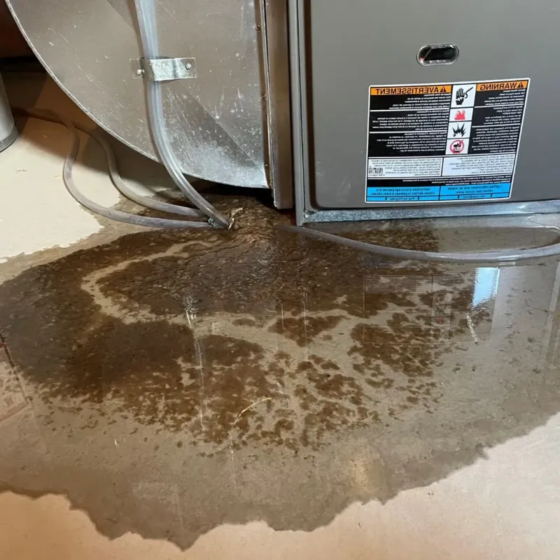 Pipe Burst and Leak Restoration in Little Cottonwood Creek Valley, UT